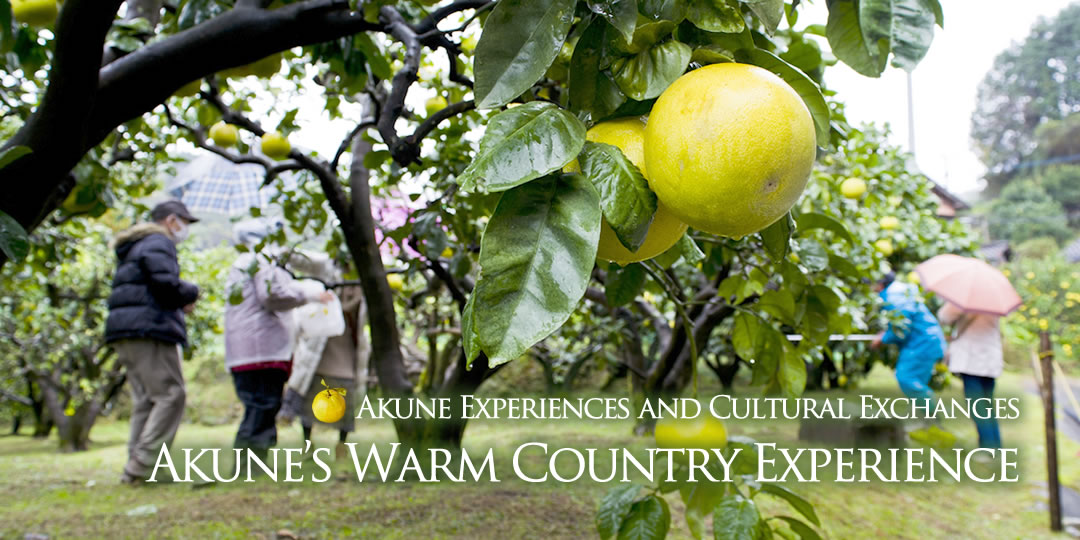 Akune Experiences and Cultural Exchanges　Akune's Warm Country Experience