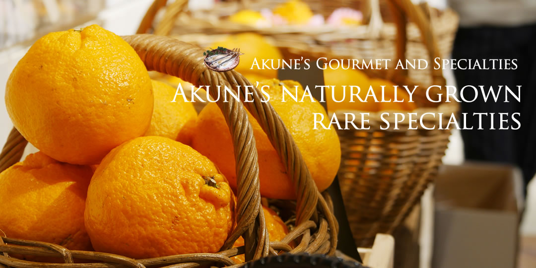 Akune's Gourmet and Specialties　Akune's naturally grown rare specialties