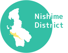 Nishime District
