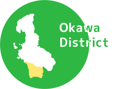 Okawa District