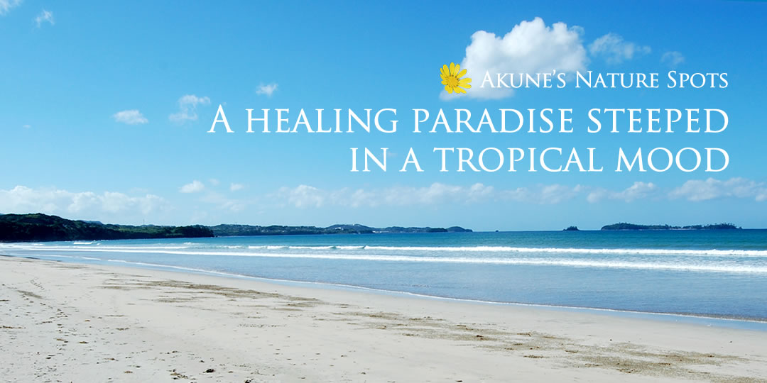 Akune's Nature Spots　A healing paradise steeped in a tropical mood