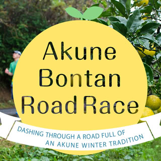 Akune Bontan Road Race Dashing through a road full of bontans, an Akune winter tradition