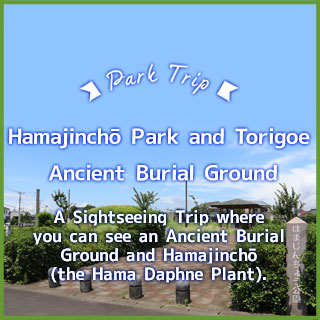 Hamajinchō Park and Torigoe  Ancient Burial Ground