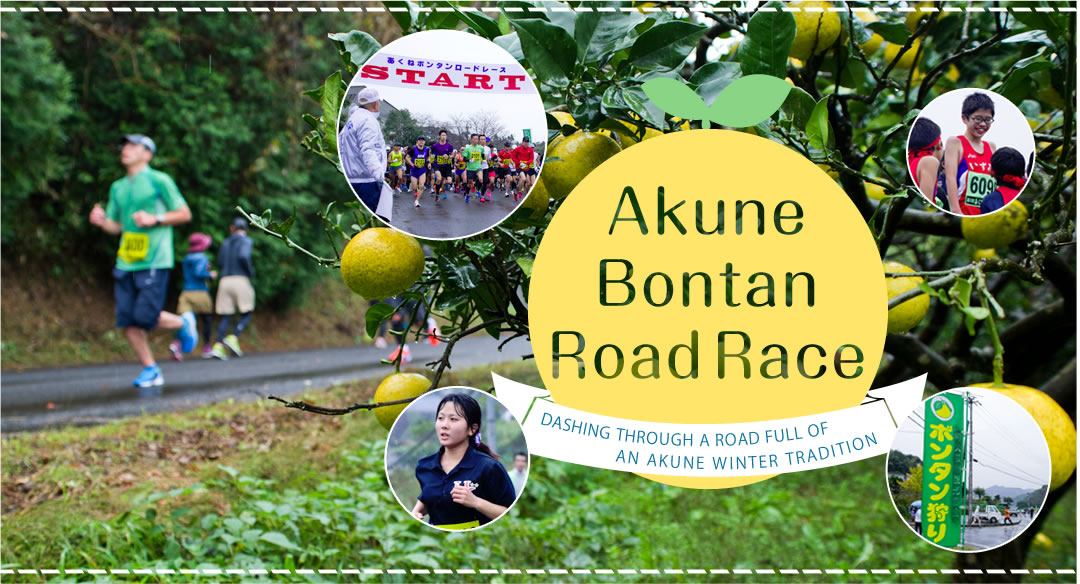 Akune Bontan Road Race  Dashing through a road full of bontans, an Akune winter tradition