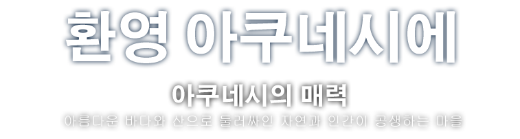환영 아쿠네시에