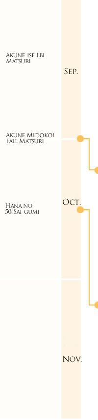 September/November Akune Ise Ebi Matsuri Akune Midokoi Fall Matsuri Hana no 50-Sai-gumi