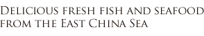 Delicious fresh fish and seafood from the East China Sea