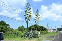 令和７年７月17日時点