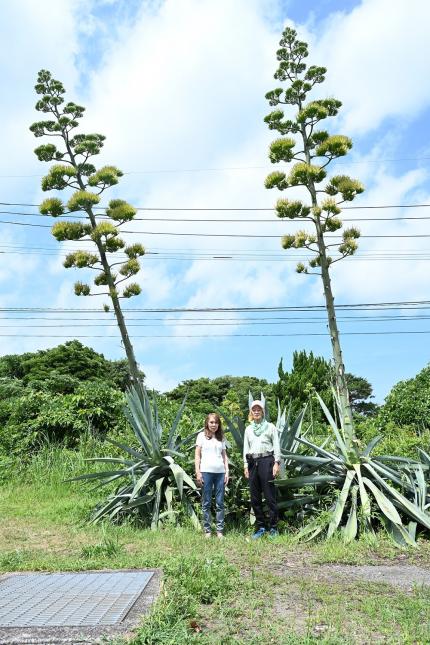 令和７年７月17日時点（若松様ご夫婦）