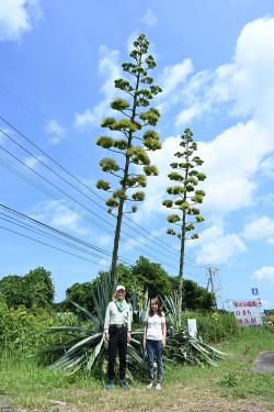 令和７年７月17日時点