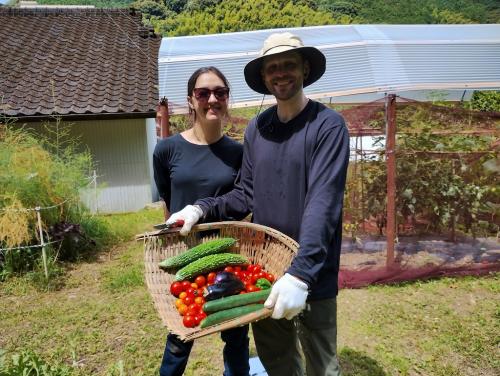 野菜・果物収穫体験【提供者：里山清流亭】