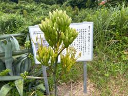 令和７年７月11日時点