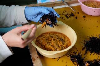 89e7e3032e96b5ec19253ab6150080