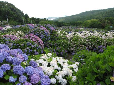 ※写真は過去の物を使用しています。