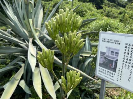 令和７年７月４日時点