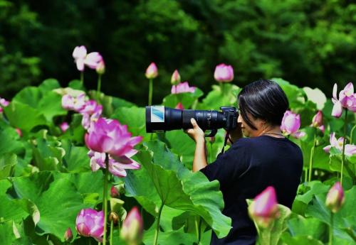 岩井紀子・有田雄治写心書道コラボ展
