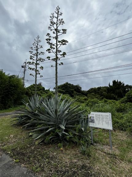 令和７年６月26日時点