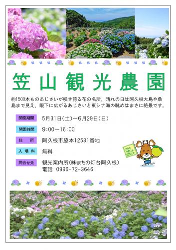笠山観光農園あじさい園