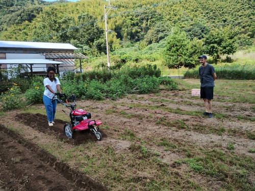 農場体験（草刈り、野菜種・苗植付け）【提供者：里山清流亭】