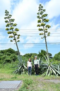 令和７年７月17日時点（若松様ご夫婦）