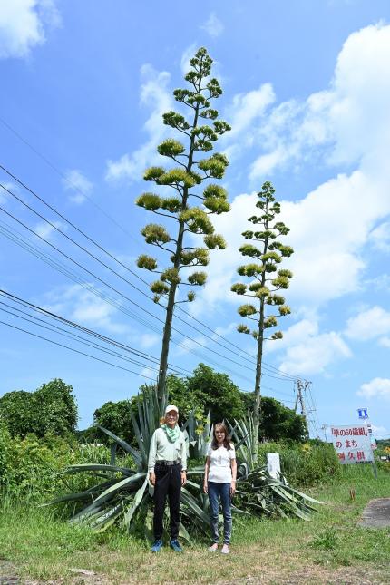 令和７年７月17日時点